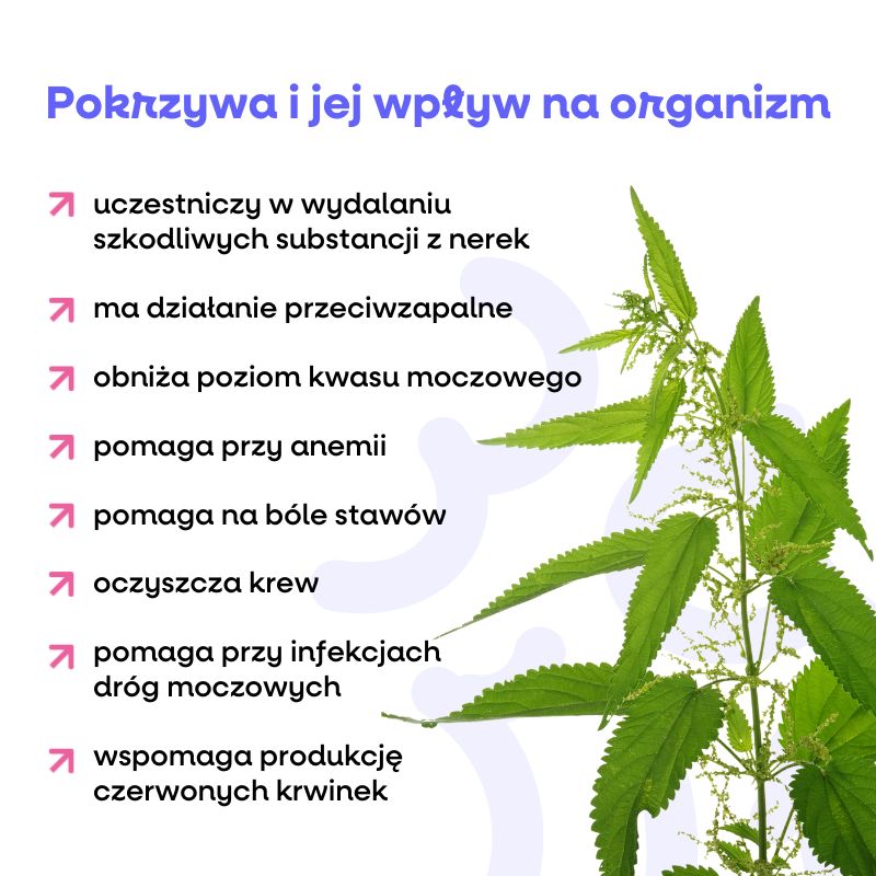 Močové cesty (800 x 800 px)
